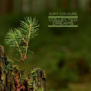 欧美欲妇激情视频在线
