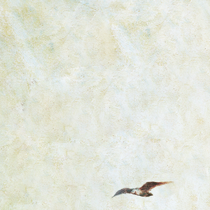 欧美欲妇激情视频在线
