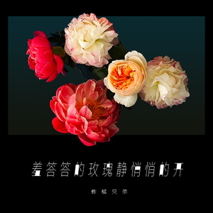 欧美欲妇激情视频在线
