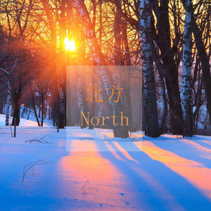 欧美欲妇激情视频在线
