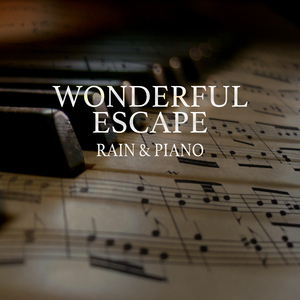 欧美欲妇激情视频在线
